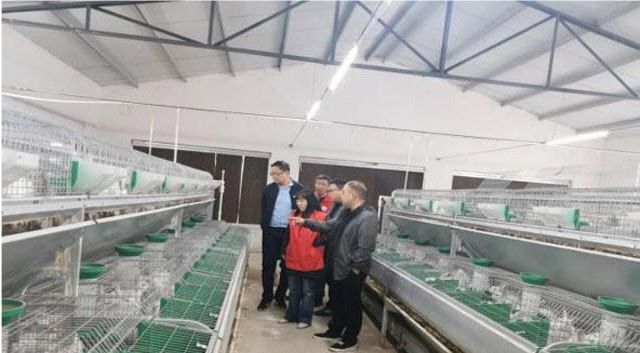 郑州市产业科技特派员服务团 助力乡村振兴成效显著