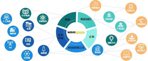 双循环 新格局下的国际投资促进服务新趋势