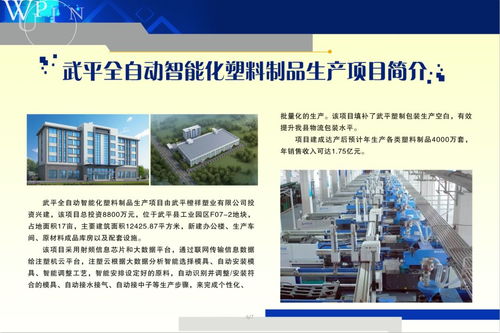 武平13个项目集中开竣工 涉及民生事业 智能制造 文化旅游等领域
