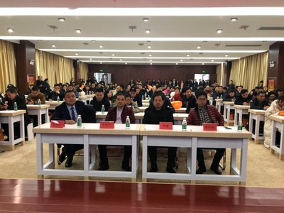 散墙办组织召开粤港模科新材料推介会