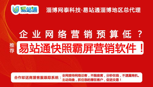 临淄网络推广公司 淄博网泰科技 在线咨询 临淄网络推广