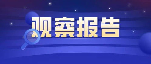 信息技术应用的调研及对法律服务行业影响的观察报告