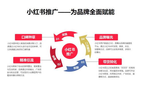 杭州哇鸥科技小红书运营种草推广策略 建议收藏