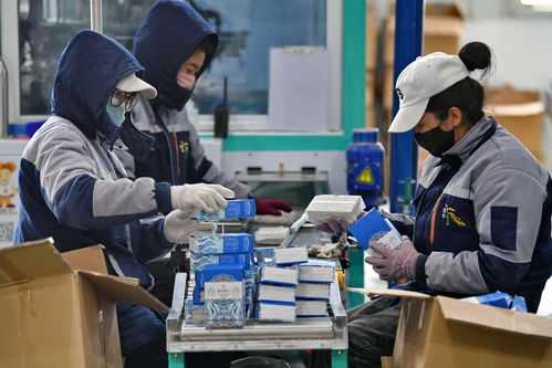 珠峰脚下争朝夕 西藏日喀则产业扶贫见成效