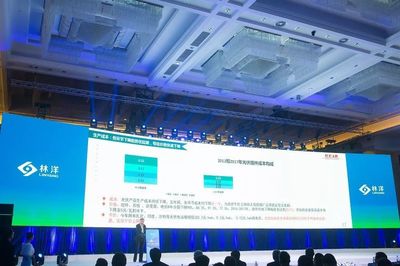 林洋能源发布多款N型单晶双面组件 推动光伏产业技术升级