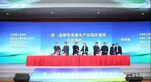 江油市签署重大项目，新材料技术推广服务助力产业升级