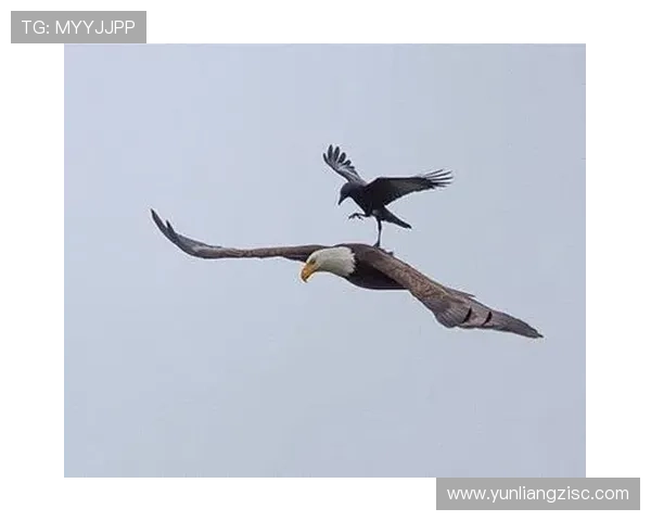 《地心引力》2024年新解说:这4大震撼场面,原来是这样拍出来的! 《地心引力》2024年新解说:这4大震撼场面,原来是这样拍出来的!