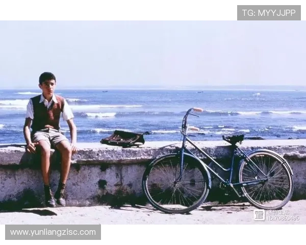 焦土之城:在绝望中绽放的人性光辉,豆瓣评分下的深度解读 焦土之城:在绝望中绽放的人性光辉,豆瓣评分下的深度解读