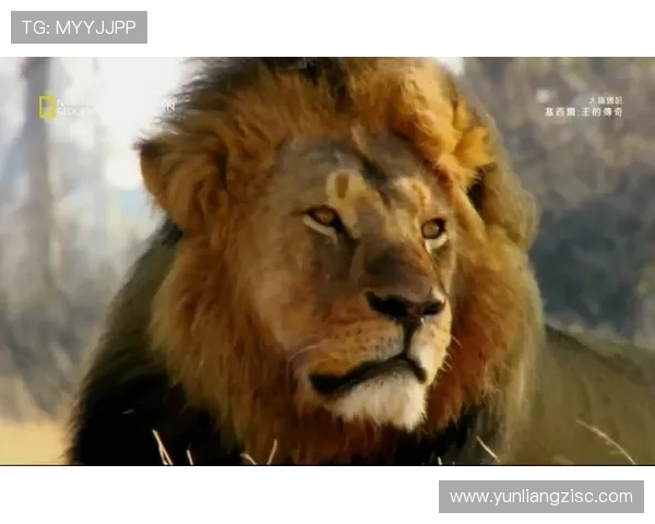 揭秘大猫传奇!这10个神级伏笔,导演是打算拍续集吗? 揭秘大猫传奇!这10个神级伏笔,导演是打算拍续集吗?