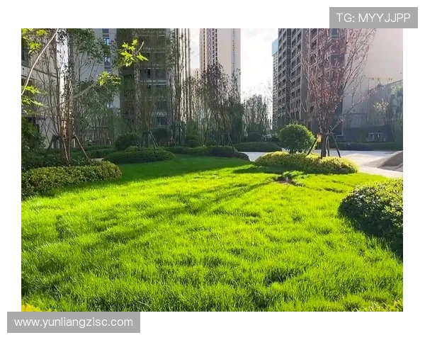 万户千家:点亮都市烟火,筑就温馨家园 万户千家:点亮都市烟火,筑就温馨家园