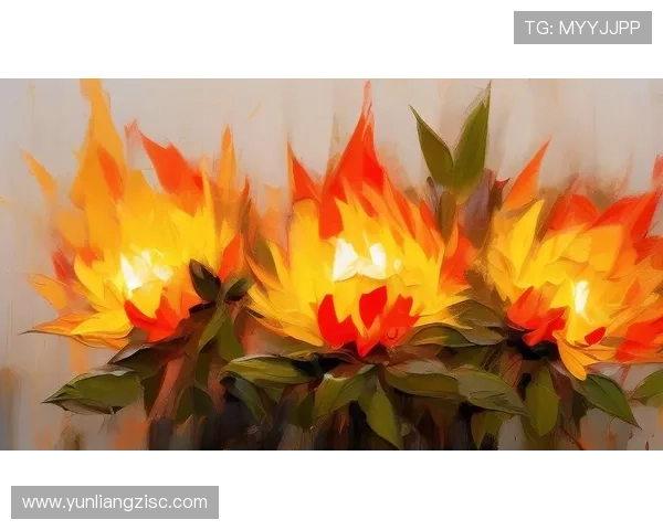 点燃心中不息的火焰：激情图，唤醒你沉睡的潜能